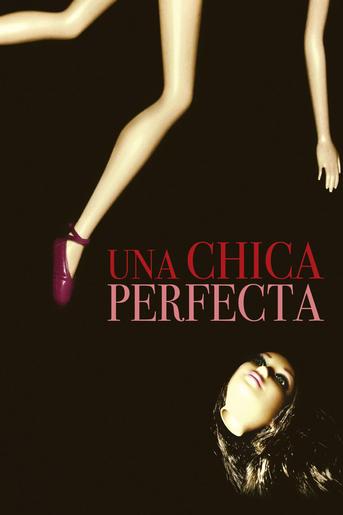 Poster de Una chica perfecta